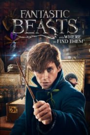 Fantastic Beasts and Where to Find Them 2016 | Монгол хэлээр