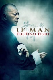 Ip Man: The Final Fight 2013 | монгол хэлээр