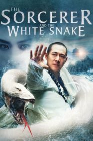 The Sorcerer and the White Snake 2011 | Монгол хэлээр