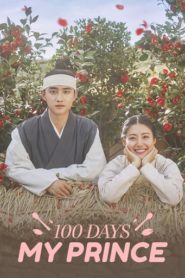 100 Days My Prince 2018 HD | монгол хэлээр
