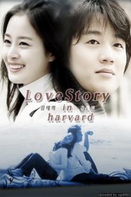 Love Story in Harvard 2004 HD | монгол хэлээр