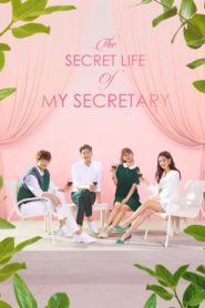 The Secret Life of My Secretary HD монгол хэлээр
