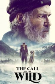 The Call of the Wild 2020 HD монгол хэлээр