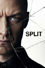 Split 2017 HD монгол хэлээр