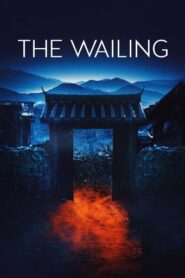 The Wailing 2016 HD | монгол хэлээр