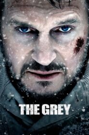 The Grey 2011 HD | монгол хэлээр
