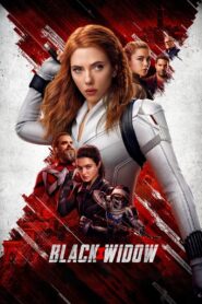 Black Widow 2021 HD | Монгол хадмал