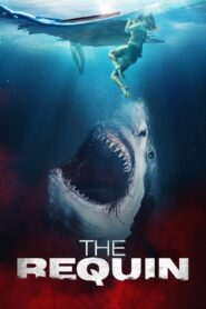 The Requin 2022 | Монгол хадмал