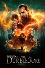 Fantastic Beasts: The Secrets of Dumbledore 2022 HD | Монгол хадмал