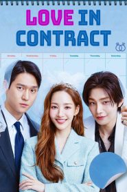 Love in Contract 2022 | Монгол хадмал