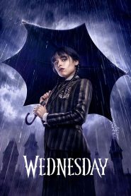 Wednesday 2022 | Монгол хадмал