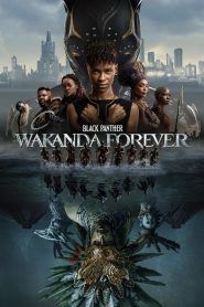 Black Panther: Wakanda Forever 2022 | Монгол хадмал
