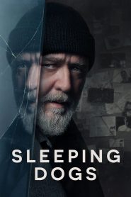 Sleeping Dogs 2024 | Монгол хэлээр