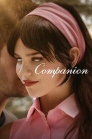 Companion 2025 | Монгол хадмал